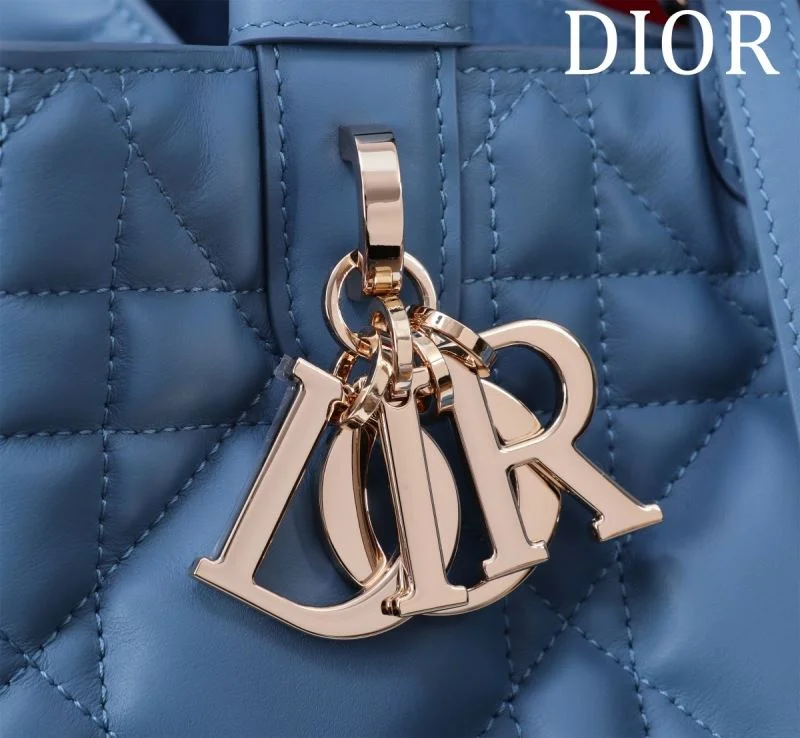 Trendy Christian Dior Shopping Bags 47015