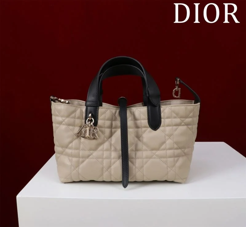 Colorful Christian Dior Shopping Bags 47003