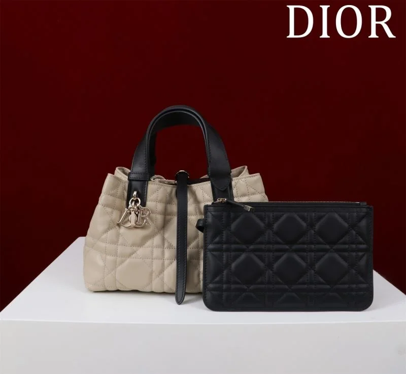 Colorful Christian Dior Shopping Bags 47003