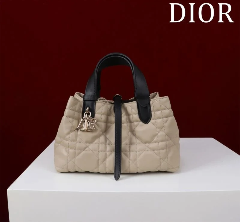Colorful Christian Dior Shopping Bags 47003