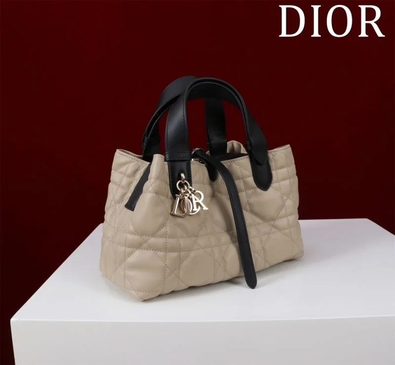 Colorful Christian Dior Shopping Bags 47003