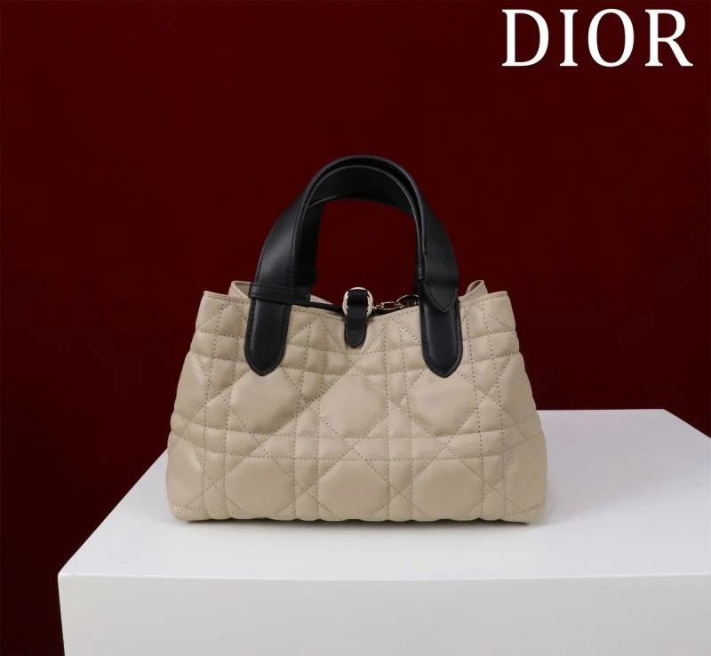 Colorful Christian Dior Shopping Bags 47003