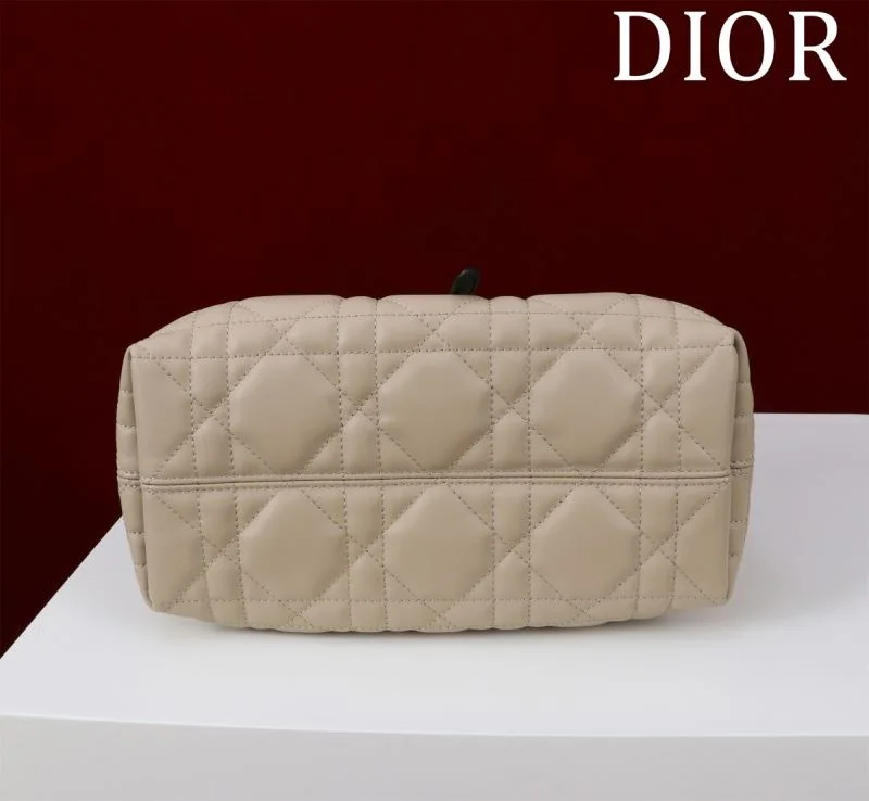 Colorful Christian Dior Shopping Bags 47003
