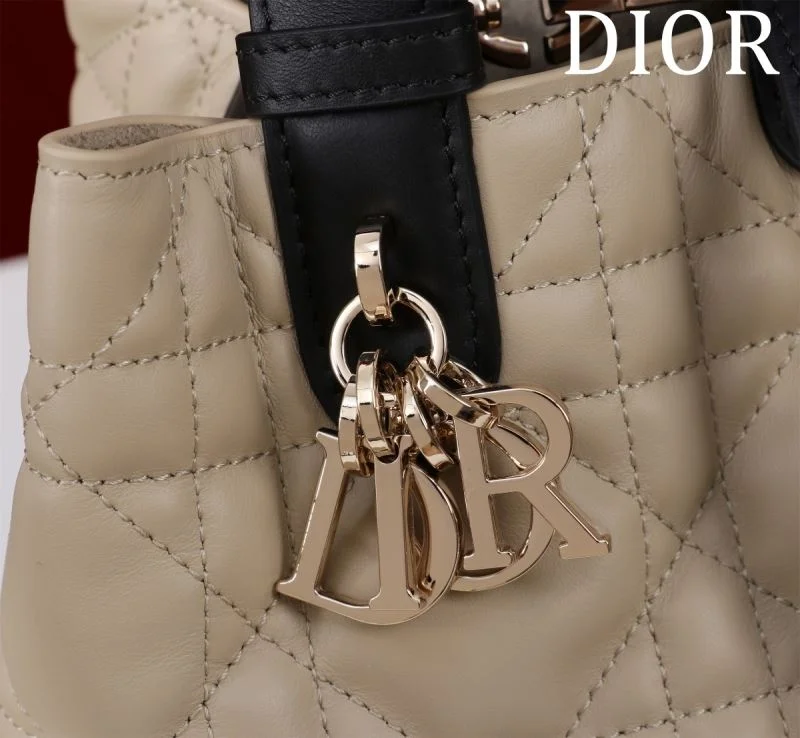 Colorful Christian Dior Shopping Bags 47003