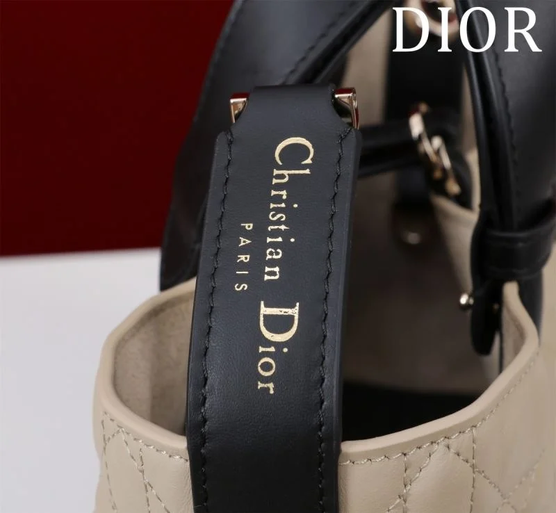 Colorful Christian Dior Shopping Bags 47003