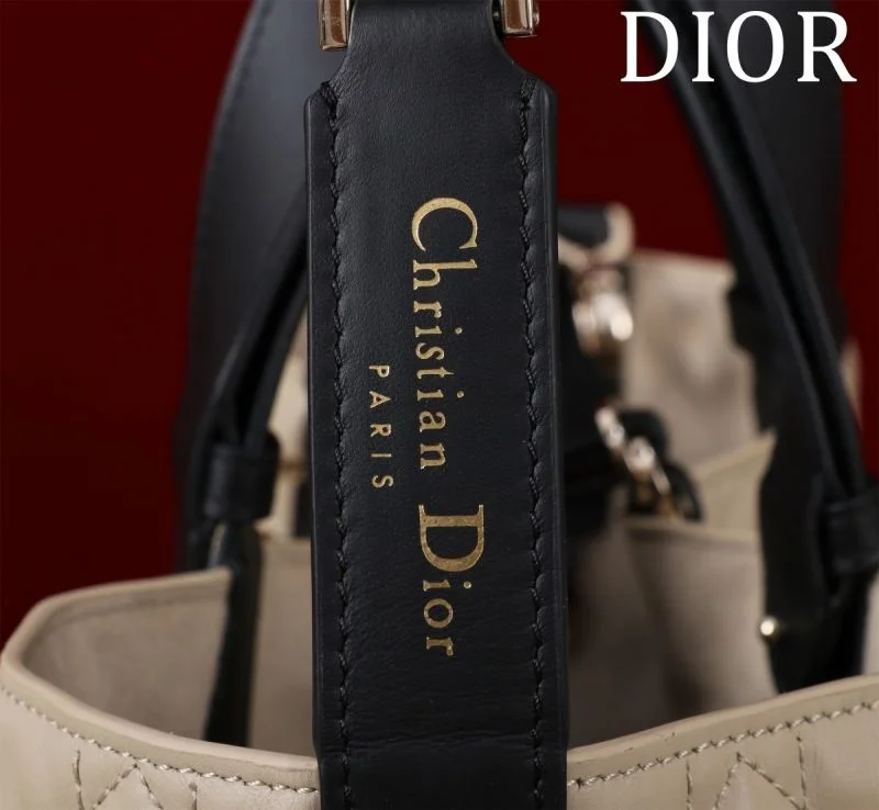 Christian Dior Shopping Bags OdorResistant 47010