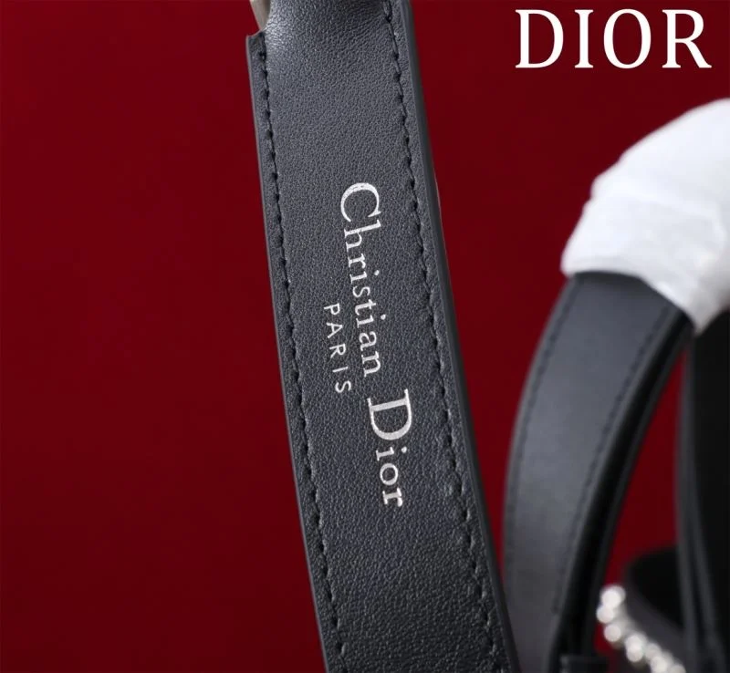 Premium Christian Dior Shopping Bags 46995