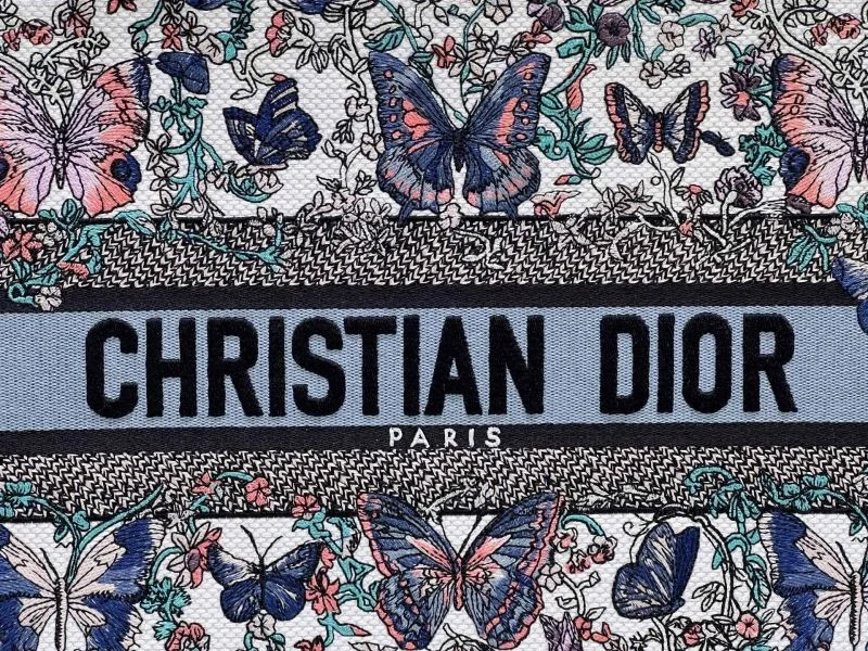 Christian Dior Shopping Bags GoAnywhere 46992