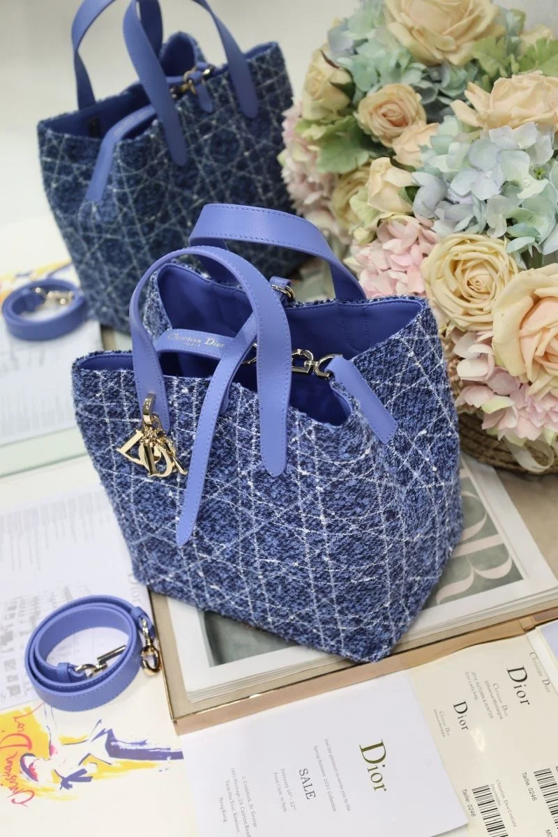 Fashionable Christian Dior Shopping Bags 46977