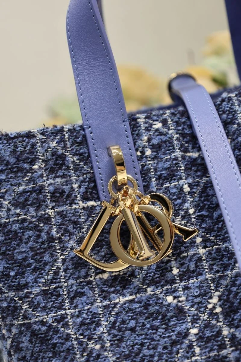 Fashionable Christian Dior Shopping Bags 46977