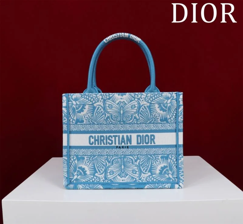 Christian Dior Shopping Bags Fashionable 46962