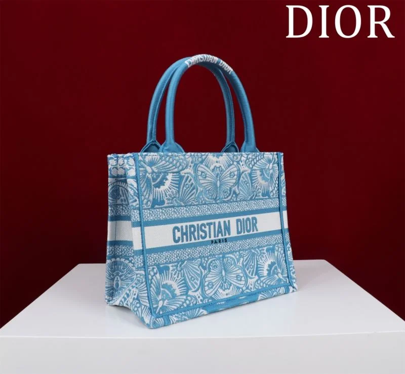 Christian Dior Shopping Bags Fashionable 46962