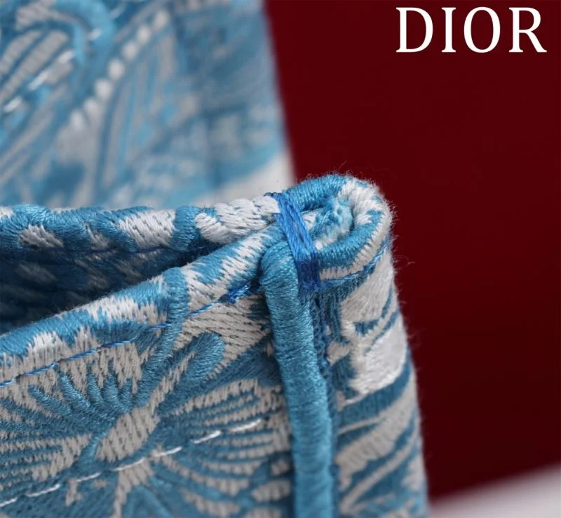 Christian Dior Shopping Bags Fashionable 46962