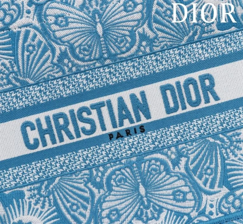 Christian Dior Shopping Bags Fashionable 46962