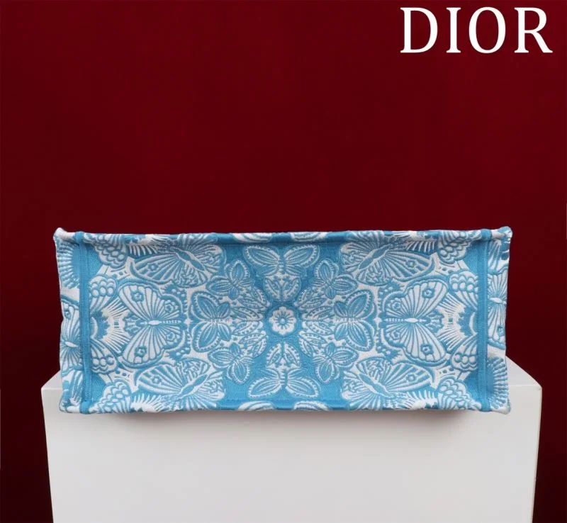 Christian Dior Shopping Bags BestValue 46963