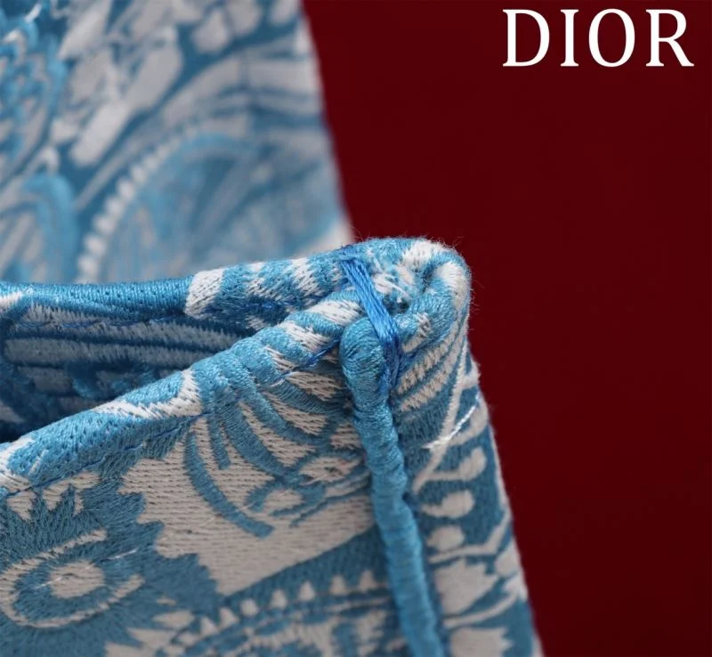 Christian Dior Shopping Bags BestValue 46963