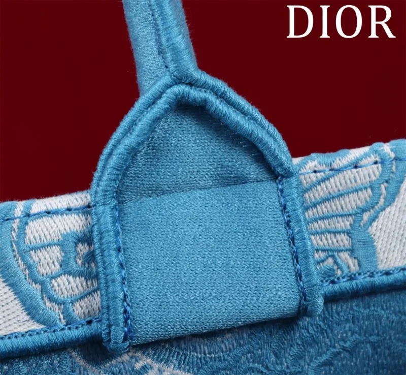 Christian Dior Shopping Bags BestValue 46963