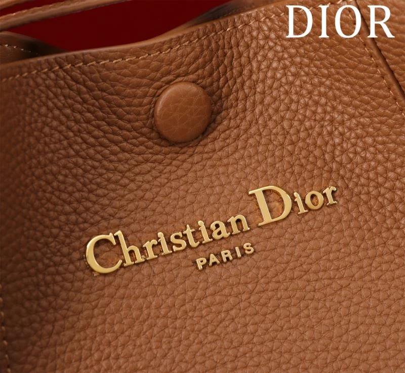 Christian Dior Shopping Bags Resilient 46989
