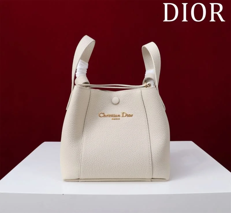 Attractive Christian Dior Shopping Bags 46955
