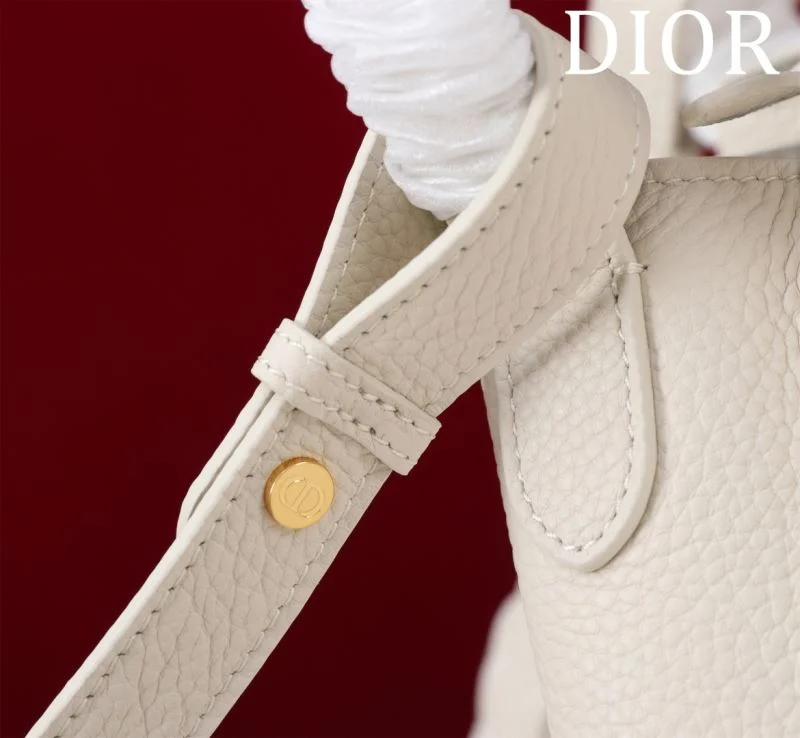 Attractive Christian Dior Shopping Bags 46955