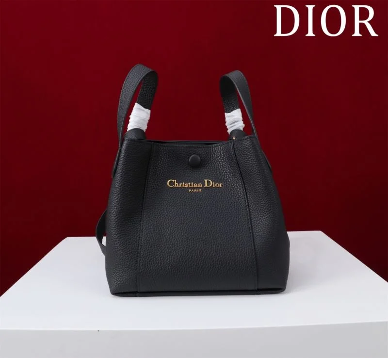 Fashionable Christian Dior Shopping Bags 46953