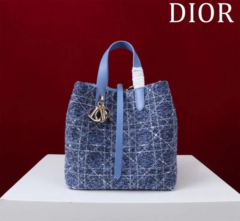 Classic Christian Dior Shopping Bags 46946