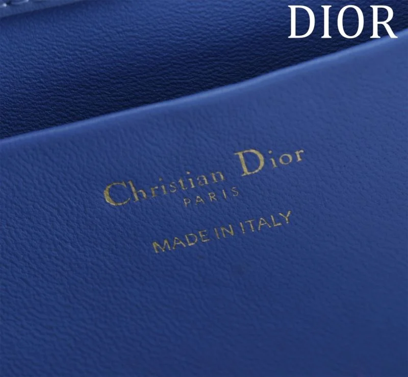 Classic Christian Dior Shopping Bags 46946