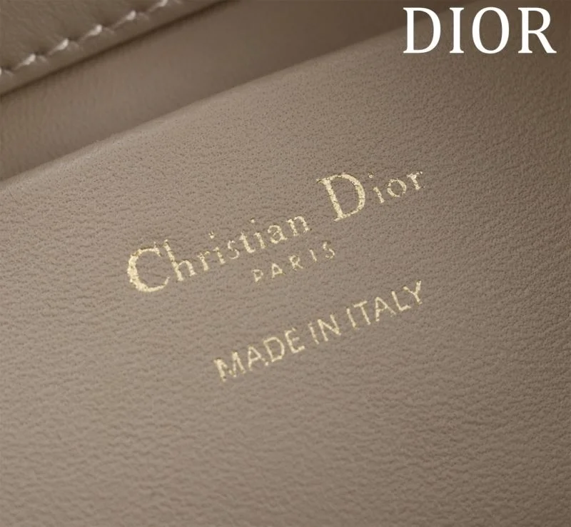 Youthful Christian Dior Shopping Bags 46943