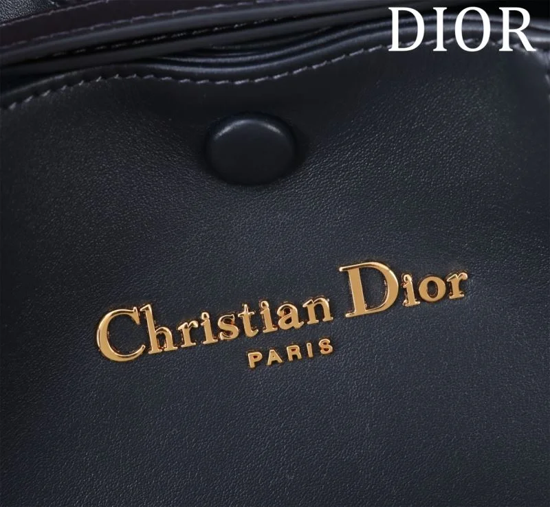 Tailored Christian Dior Shopping Bags 46941