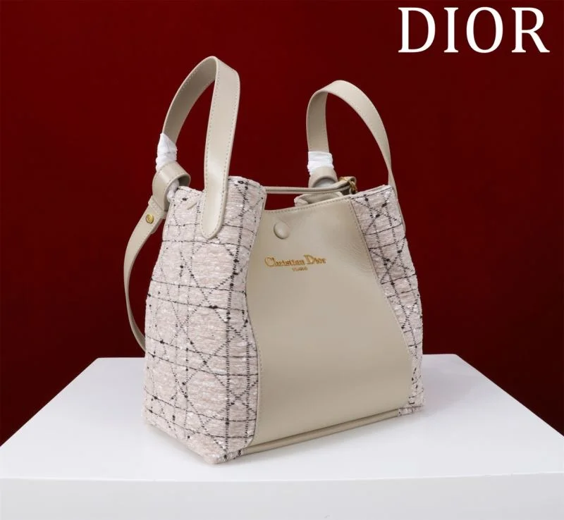 Christian Dior Shopping Bags Resilient 46936