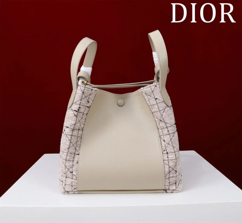 Christian Dior Shopping Bags Resilient 46936