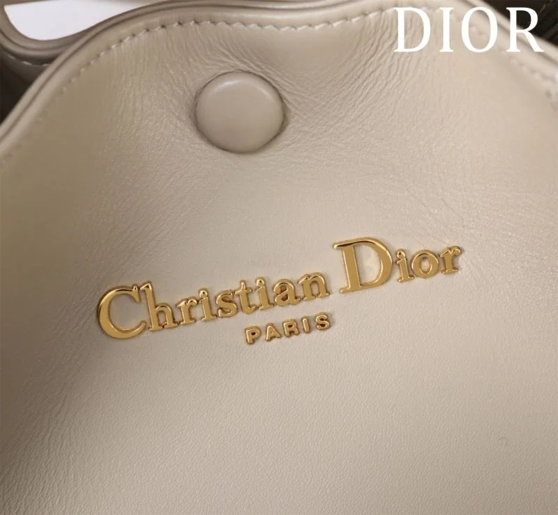 Christian Dior Shopping Bags Resilient 46936