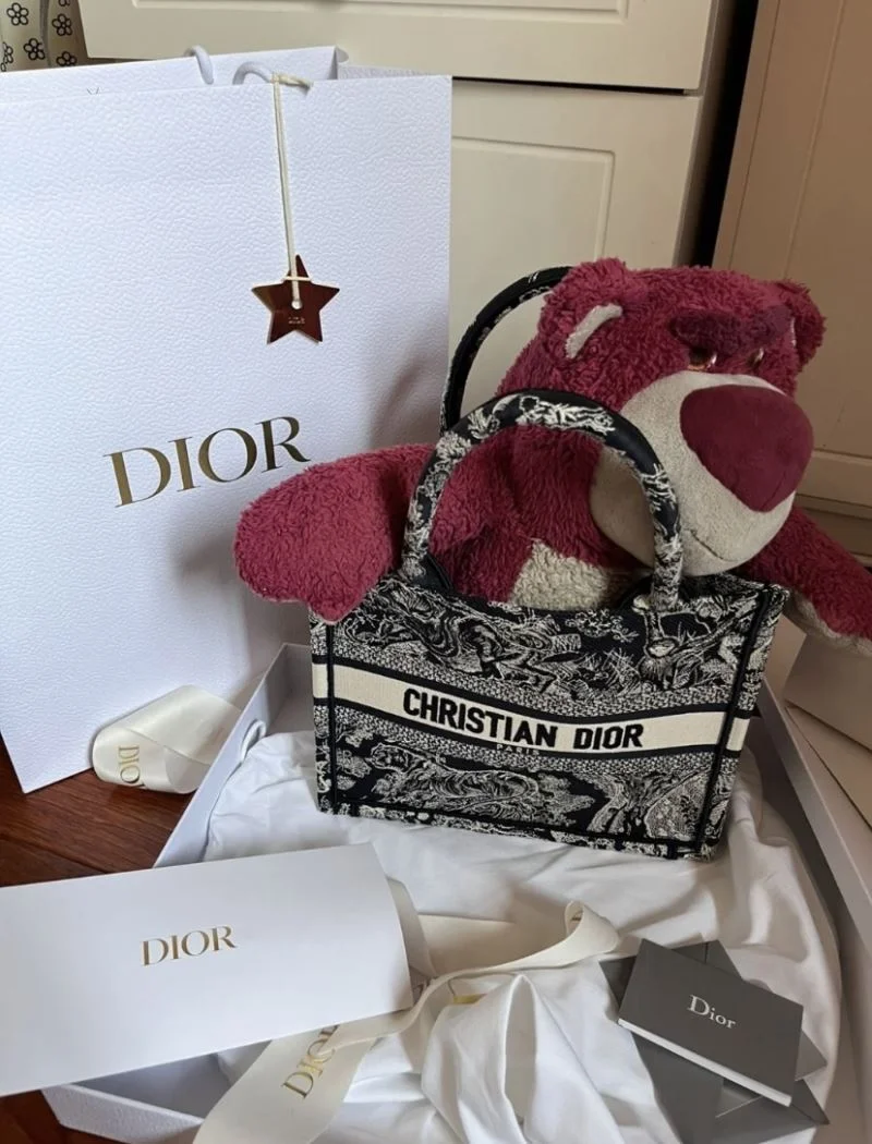 Versatile Christian Dior Shopping Bags 46928