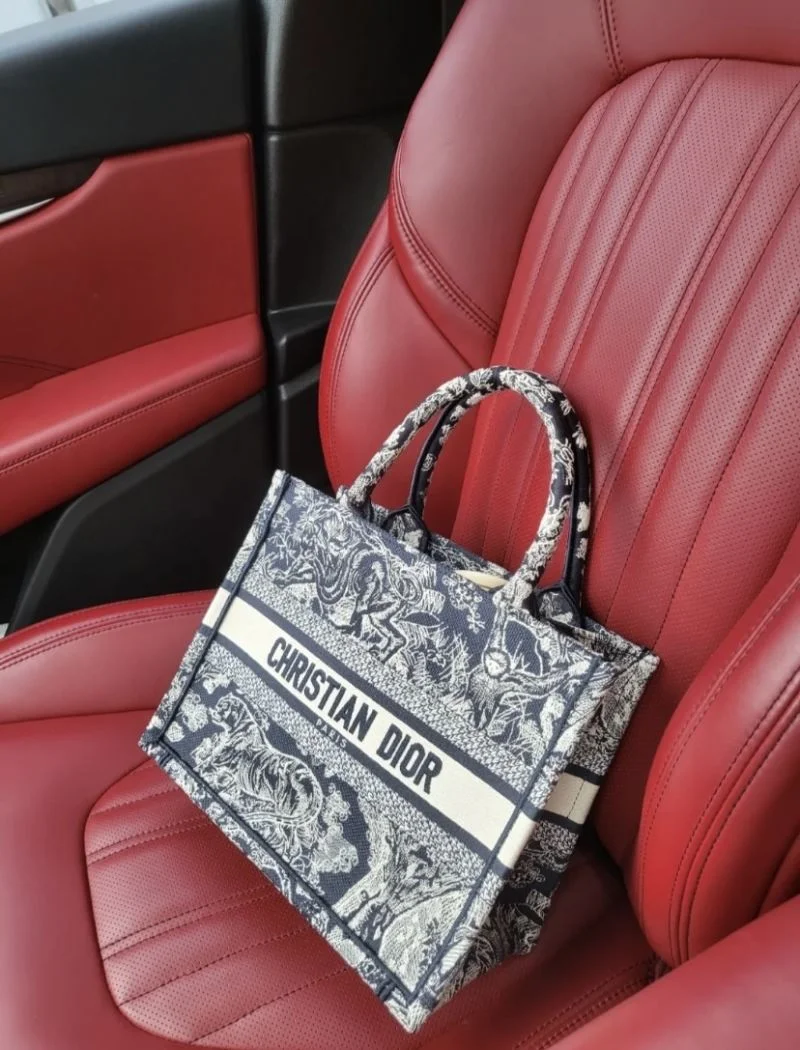 Versatile Christian Dior Shopping Bags 46928
