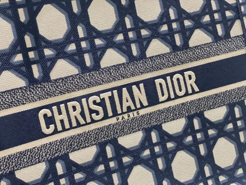 ZipUp Christian Dior Shopping Bags 46918