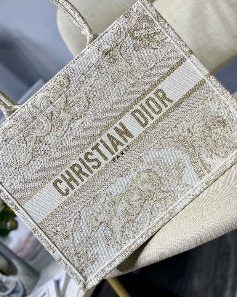 Contemporary Christian Dior Shopping Bags 46907