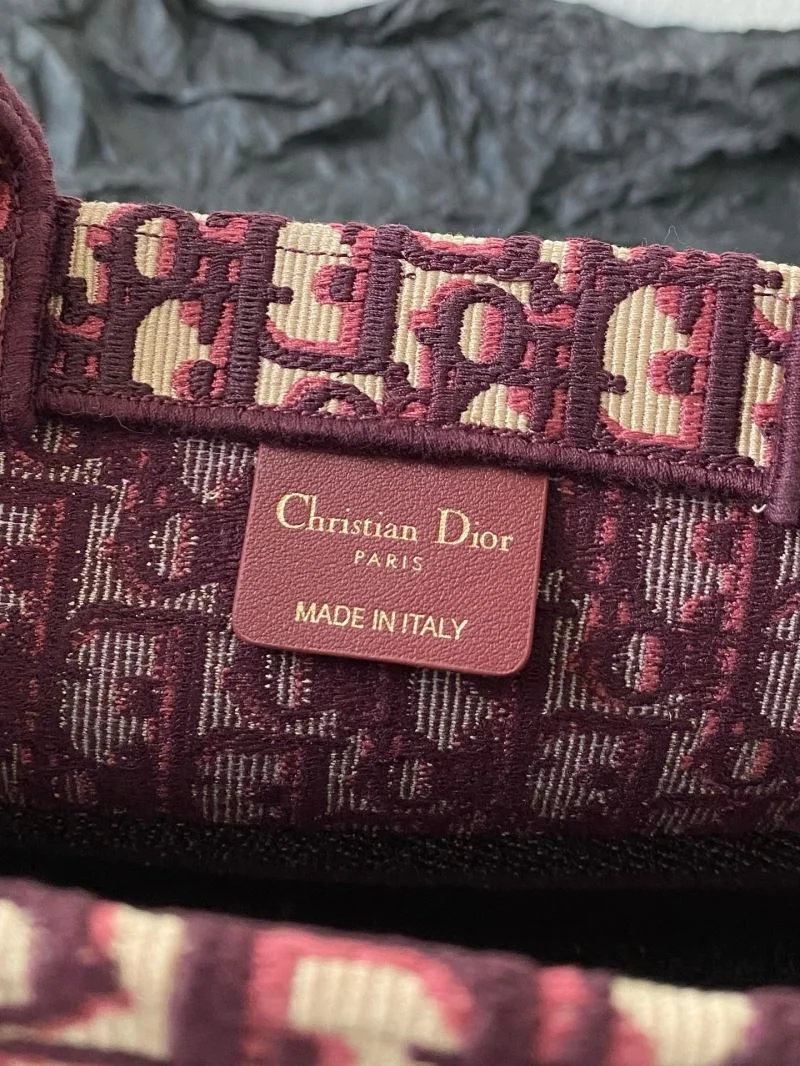 Contemporary Christian Dior Shopping Bags 46898