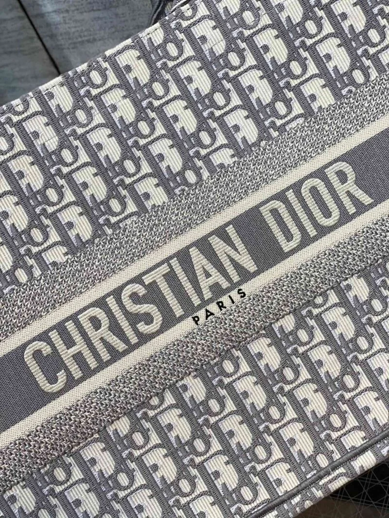 Christian Dior Shopping Bags Fashionable 46897