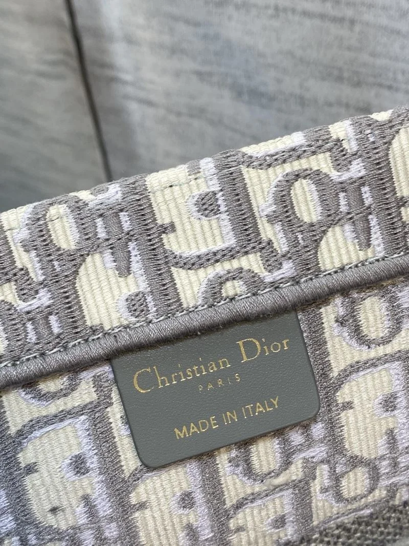 Christian Dior Shopping Bags Fashionable 46897