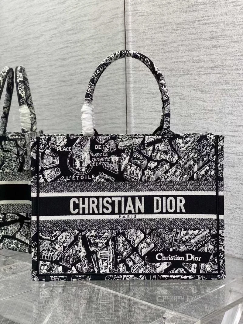 Christian Dior Shopping Bags AllSeason 46882