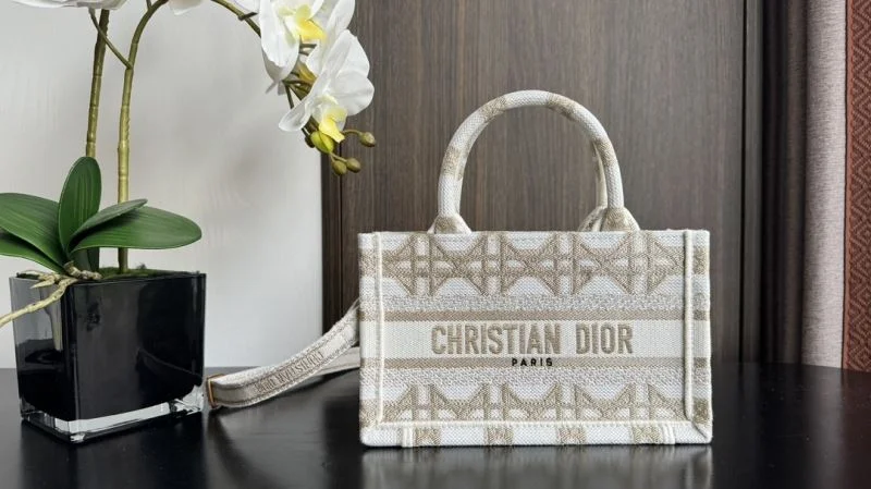 ModernLook Christian Dior Shopping Bags 46844