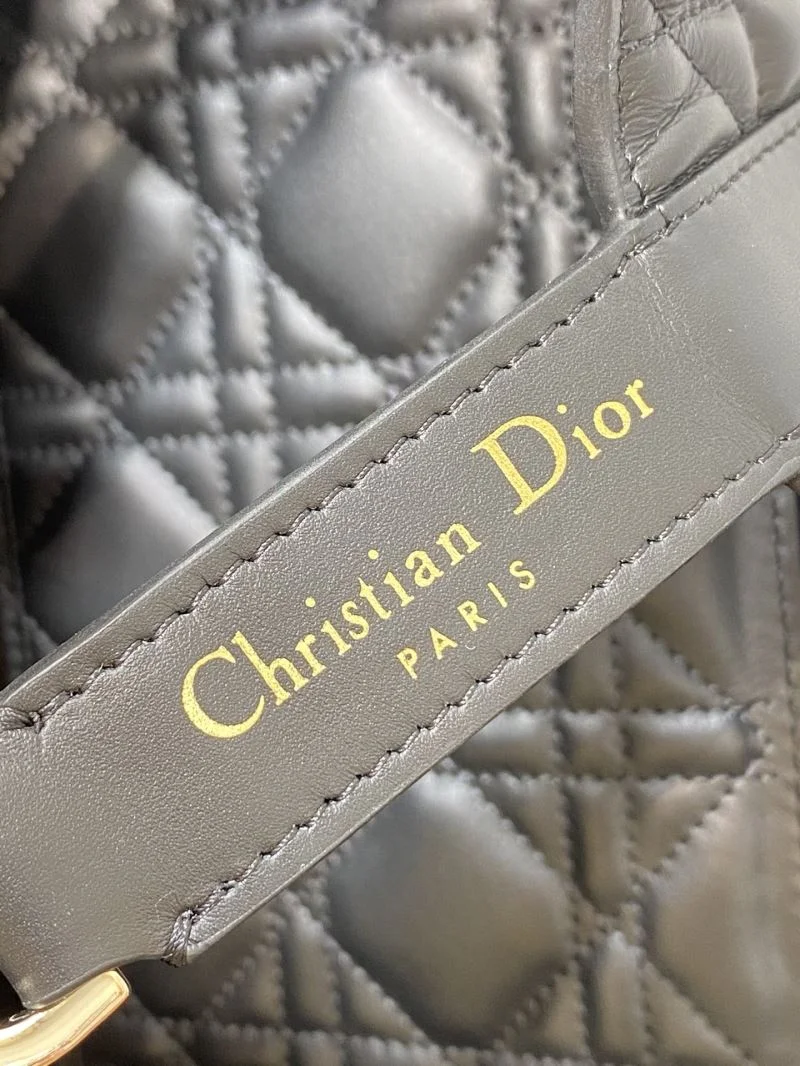 Christian Dior Shopping Bags DailyWear 46857