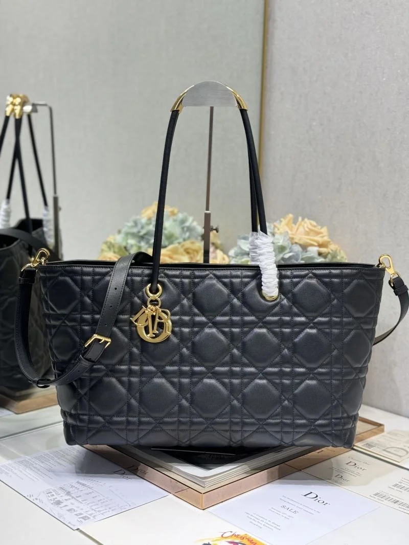 Colorful Christian Dior Shopping Bags 46819