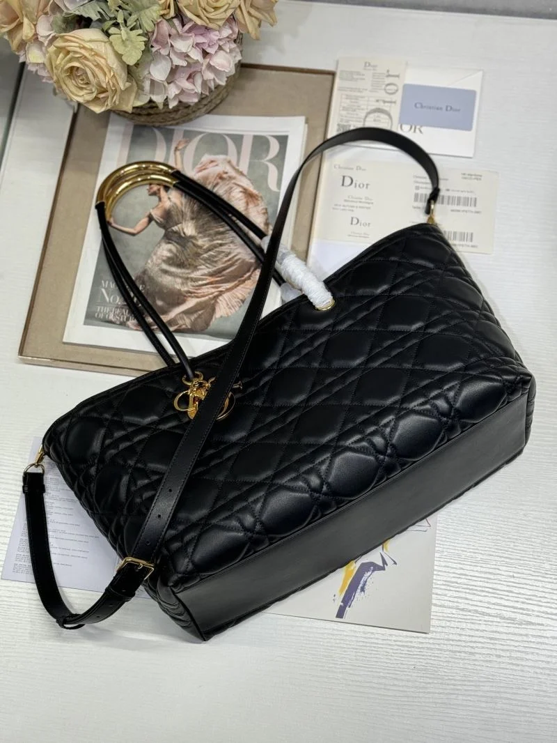 Colorful Christian Dior Shopping Bags 46819