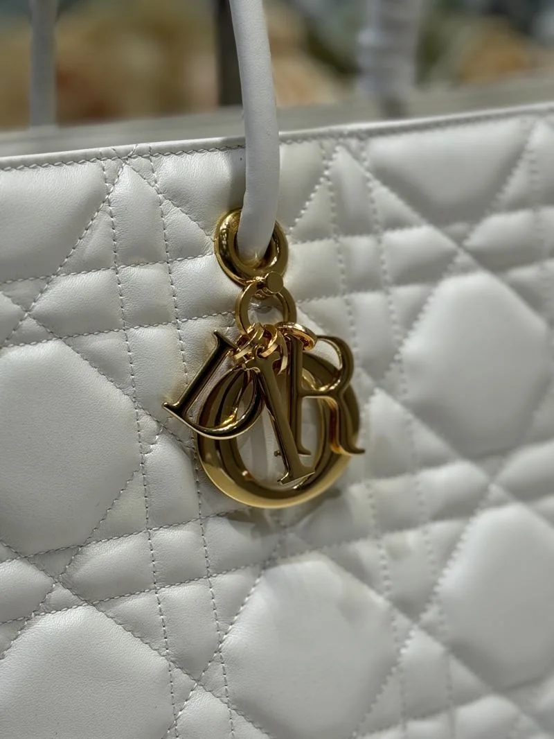 Christian Dior Shopping Bags Packable 46811