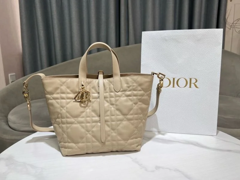 Popular Christian Dior Shopping Bags 46872