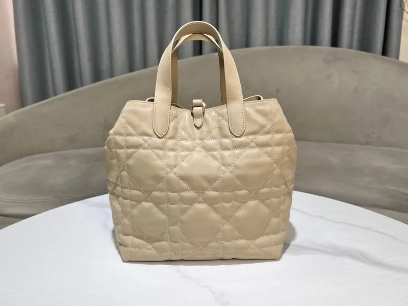 Popular Christian Dior Shopping Bags 46872