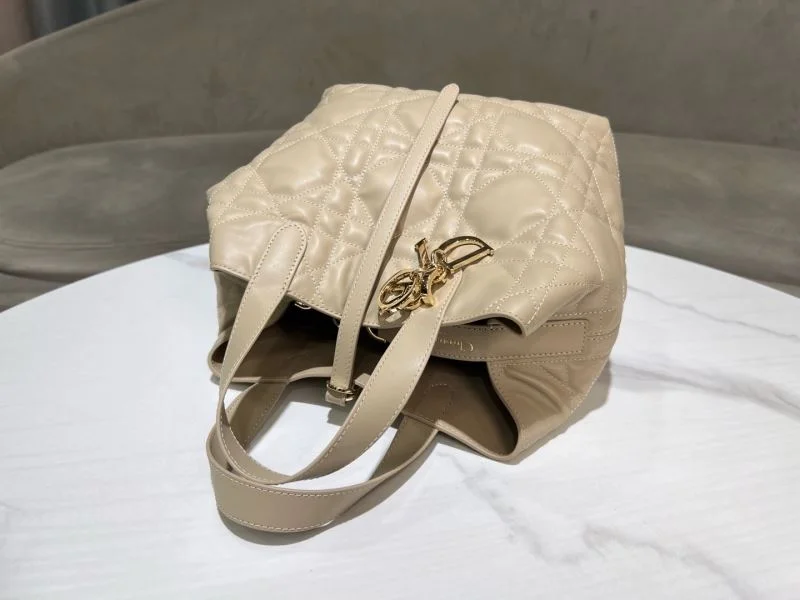 Popular Christian Dior Shopping Bags 46872
