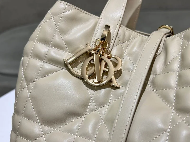 Popular Christian Dior Shopping Bags 46872