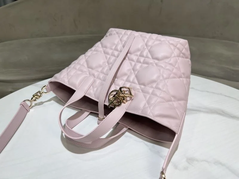 Supportive Christian Dior Shopping Bags 46835